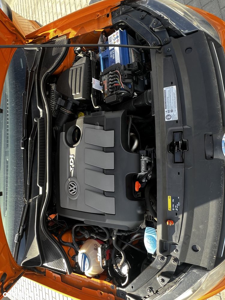 Volkswagen Polo Cross - 31