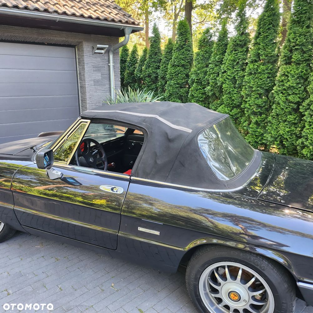 Alfa Romeo Spider - 14