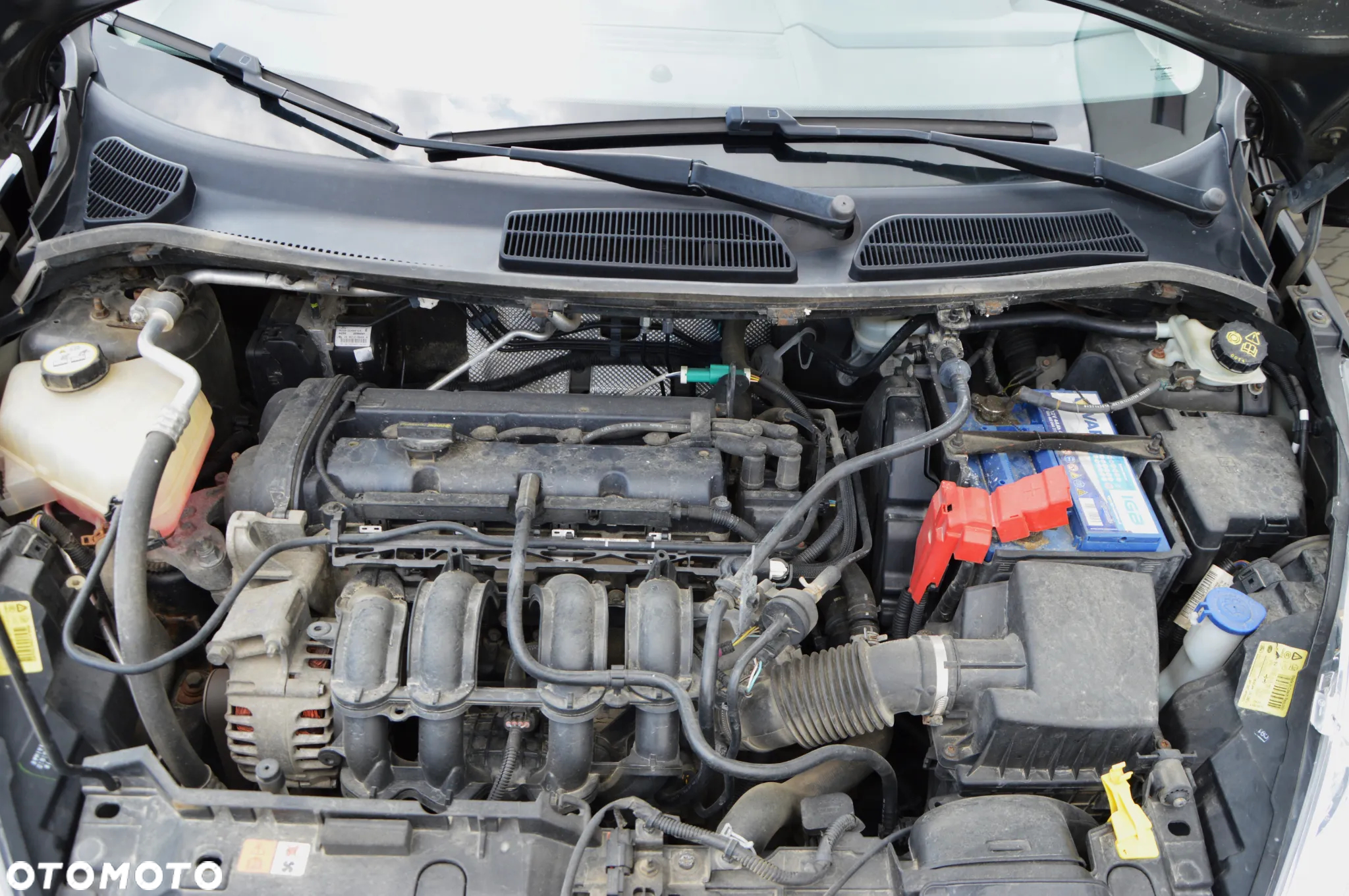 Ford Fiesta - 26