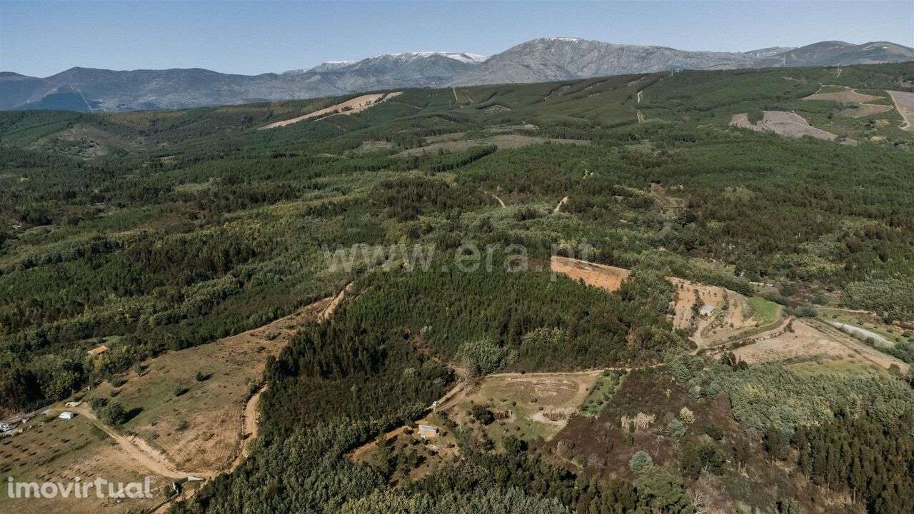 Quintinha Estúdio / Covilhã, Peso - Grande imagem: 5/18