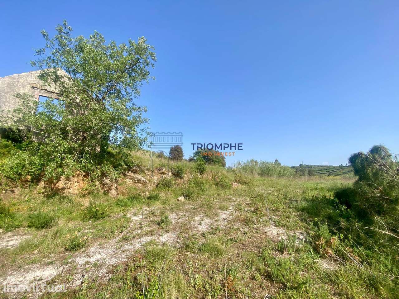 Terreno com Projeto Aprovado 8 Moradias Geminadas T3 Batalha - Grande imagem: 3/13