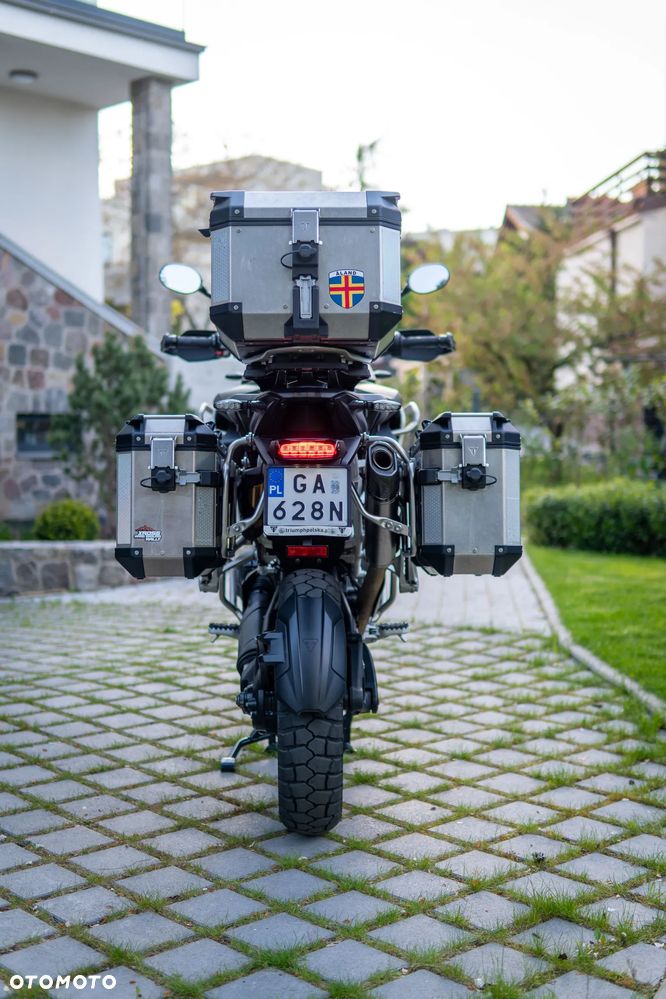 Triumph Tiger - 15