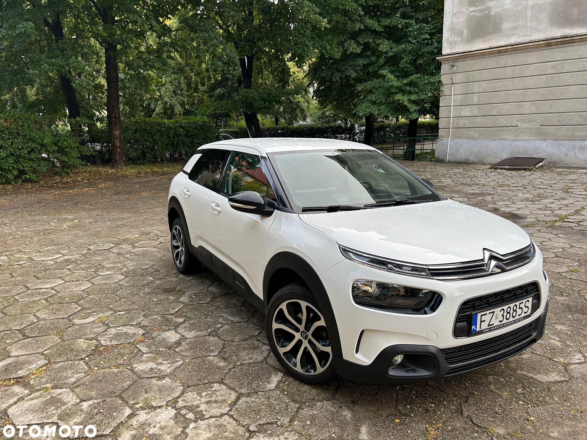 Citroën C4 Cactus 1.2 PureTech Feel S&S - 3