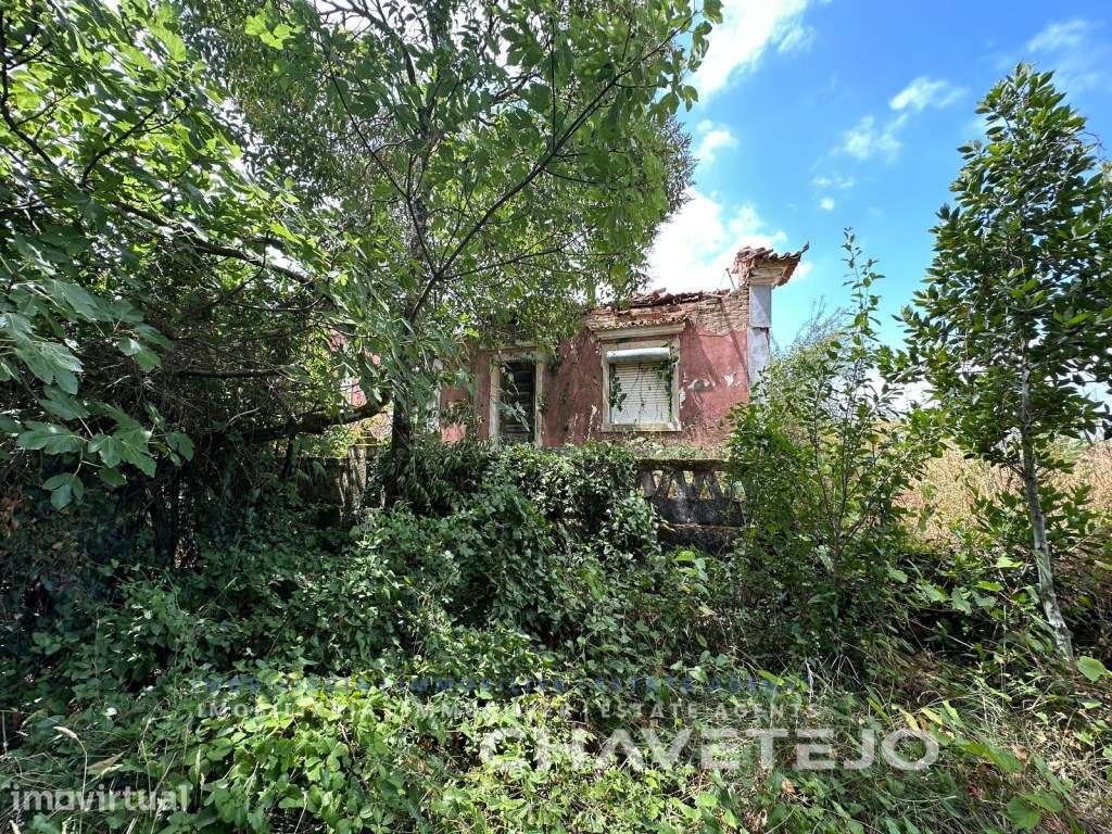 Quinta com casa e anexo para recuperar a 4 minutos de Tomar. - Grande imagem: 2/25