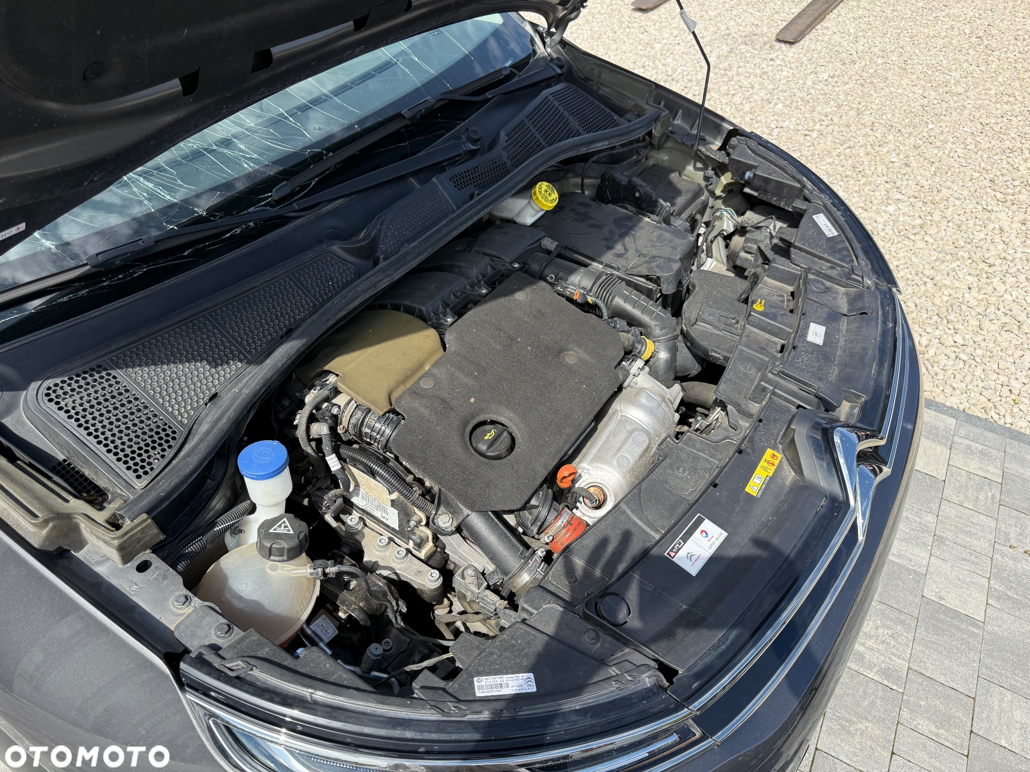 Citroën C4 Cactus - 25