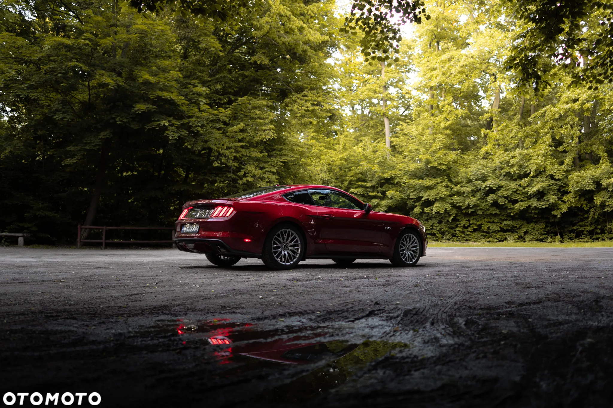 Ford Mustang 5.0 V8 GT - 5