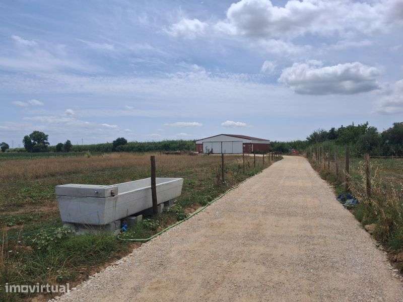 Terreno agricola - Grande imagem: 4/12
