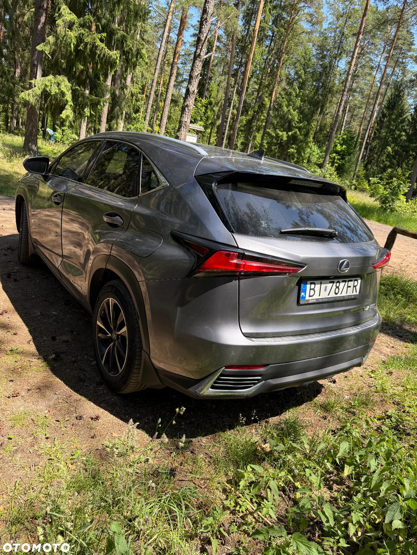 Lexus NX - 3