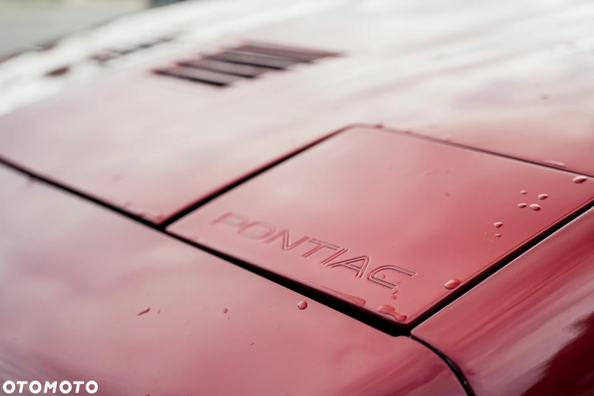 Pontiac Firebird - 13