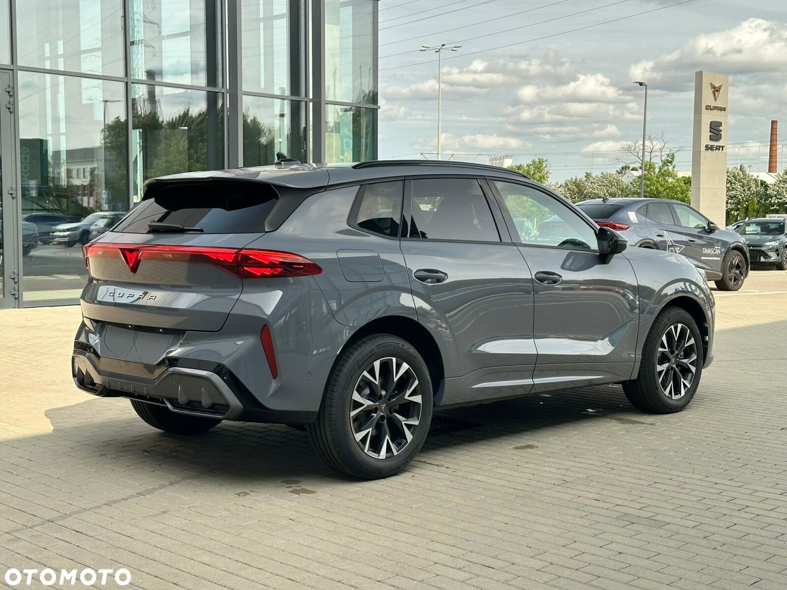 Cupra Terramar - 6