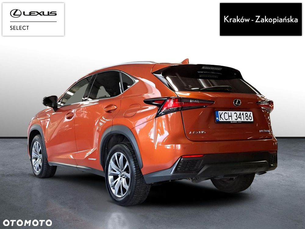 Lexus NX 300h F Sport Edition AWD - 8