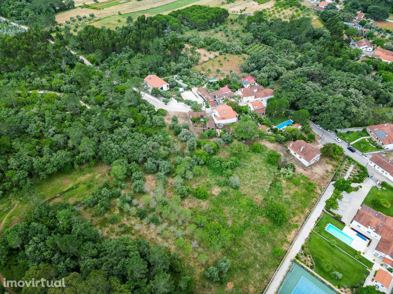 Moradia em ruína || Pedreiras || Porto de Mós - Grande imagem: 4/20