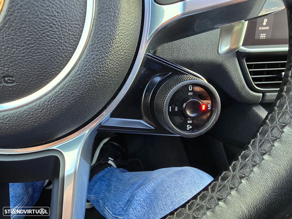 Porsche Cayenne Standard - 21