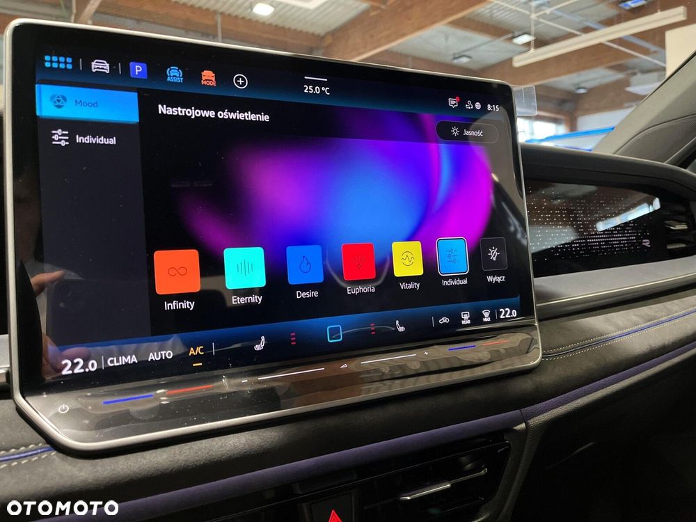 Volkswagen Tayron 2.0 TDI SCR 4Mot R-Line Plus DSG - 24