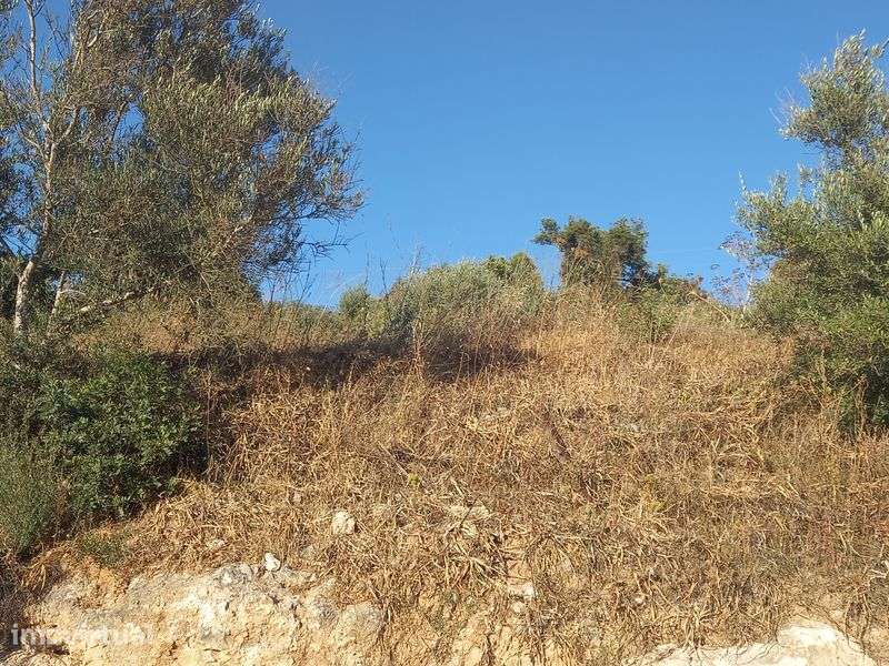 Terreno Urbano em Paderne/Albufeira - Grande imagem: 5/12