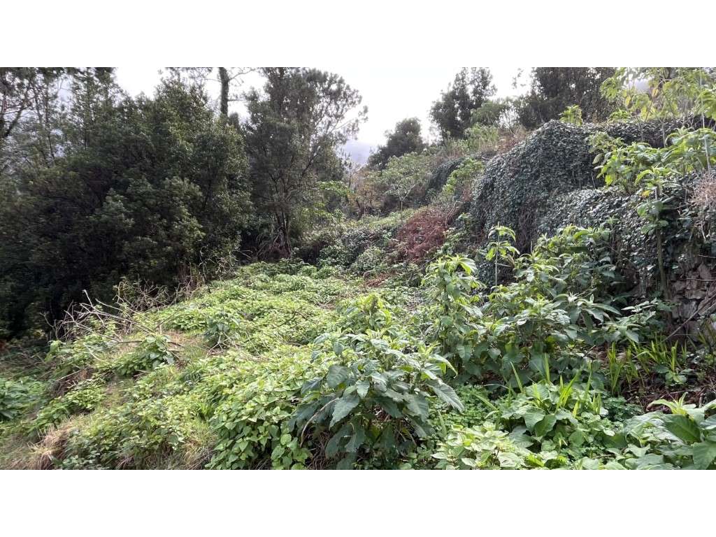 Terreno para o construção à venda São Vicente, Madeira - Grande imagem: 5/6