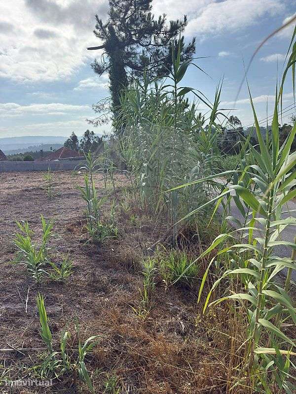Terreno  para venda - Grande imagem: 3/10