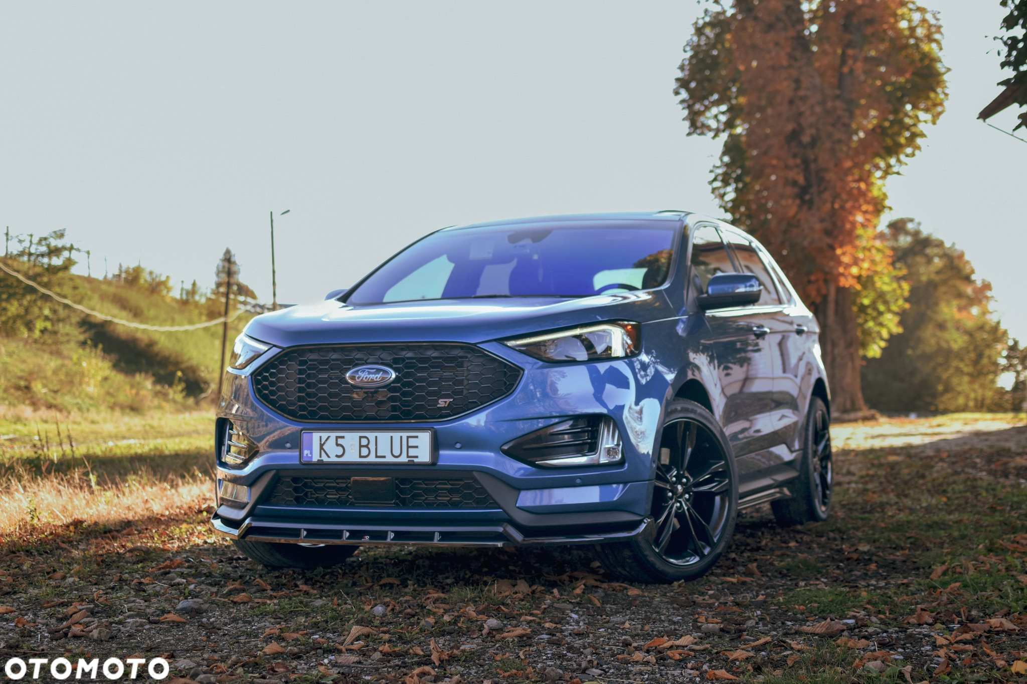 Ford Edge - 5