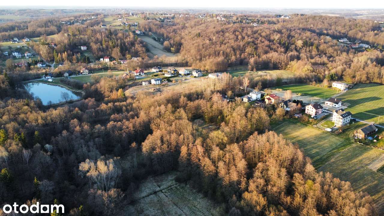 Gaz, prąd, woda. Widok na drzewa i góry! Objęta MPZP! BUDOWLANA !! - Pełny obrazek: 3/10