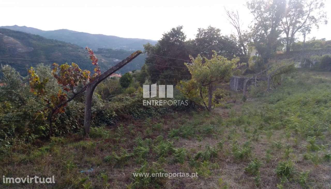 Venda Terreno com viabilidade de construção, Ancede, Baião - Grande imagem: 4/30