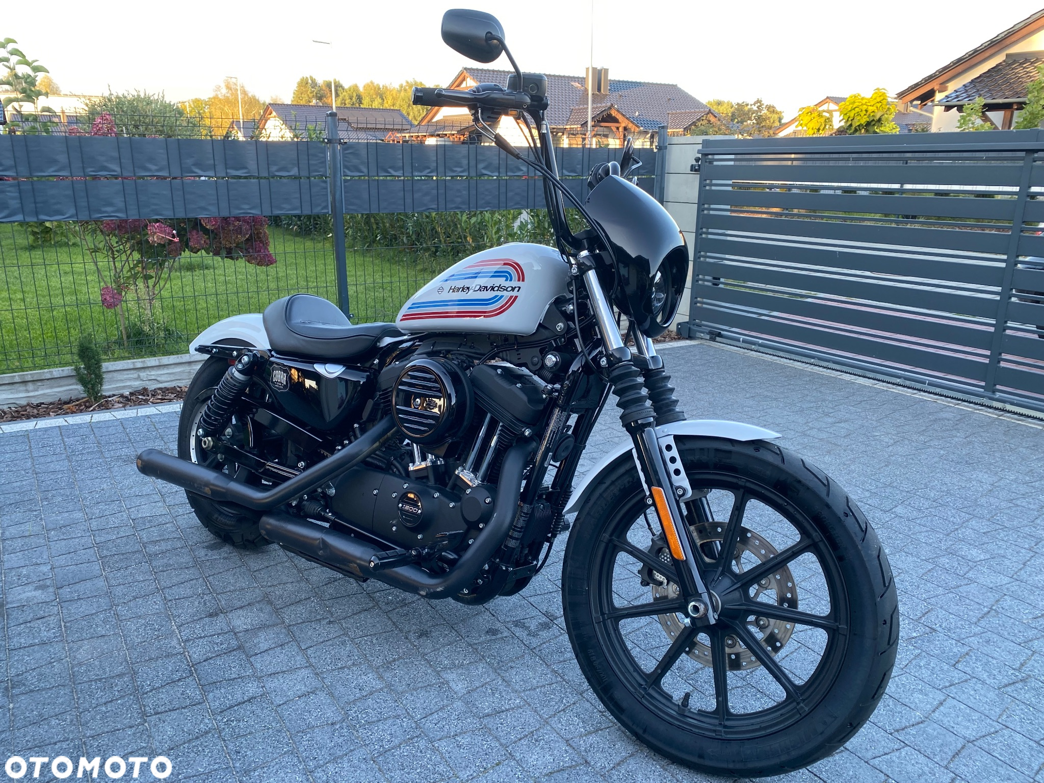 Harley-Davidson Sportster Iron 1200 - 14