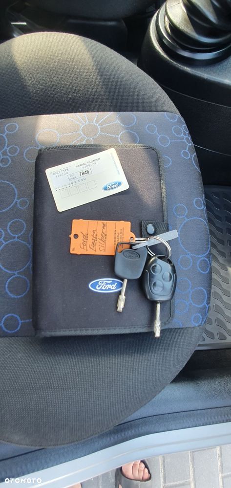 Ford Fiesta 1.25 - 21