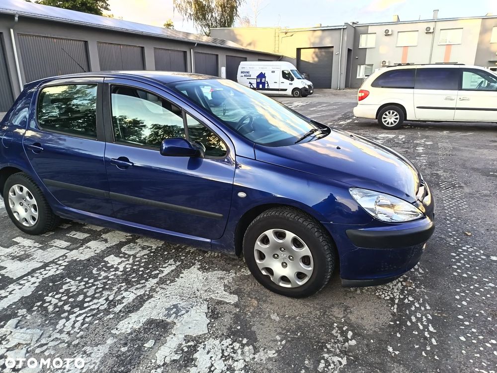 Peugeot 307 1.6 Mistral - 10