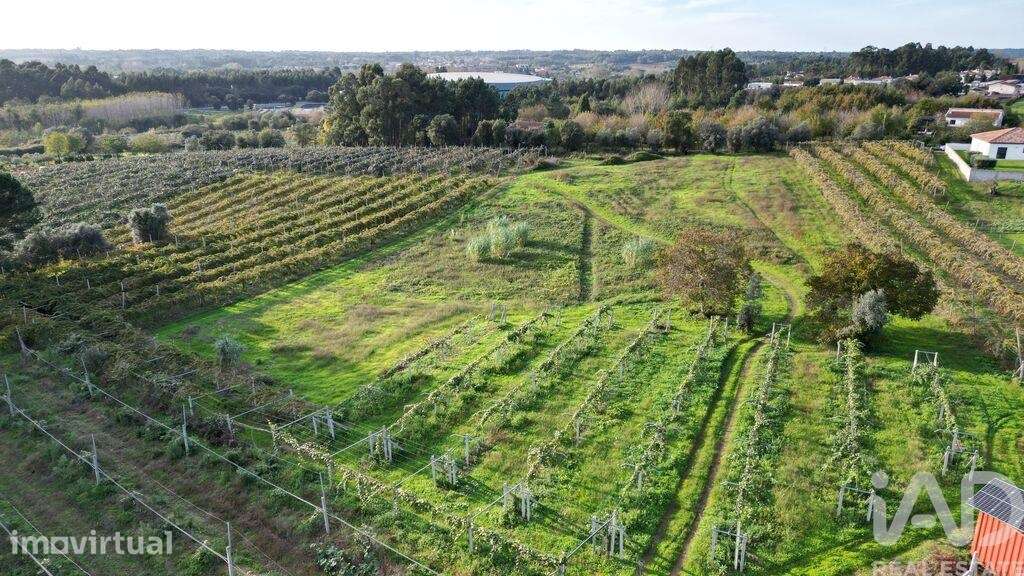 Terreno para construção em Sangalhos - Grande imagem: 3/16