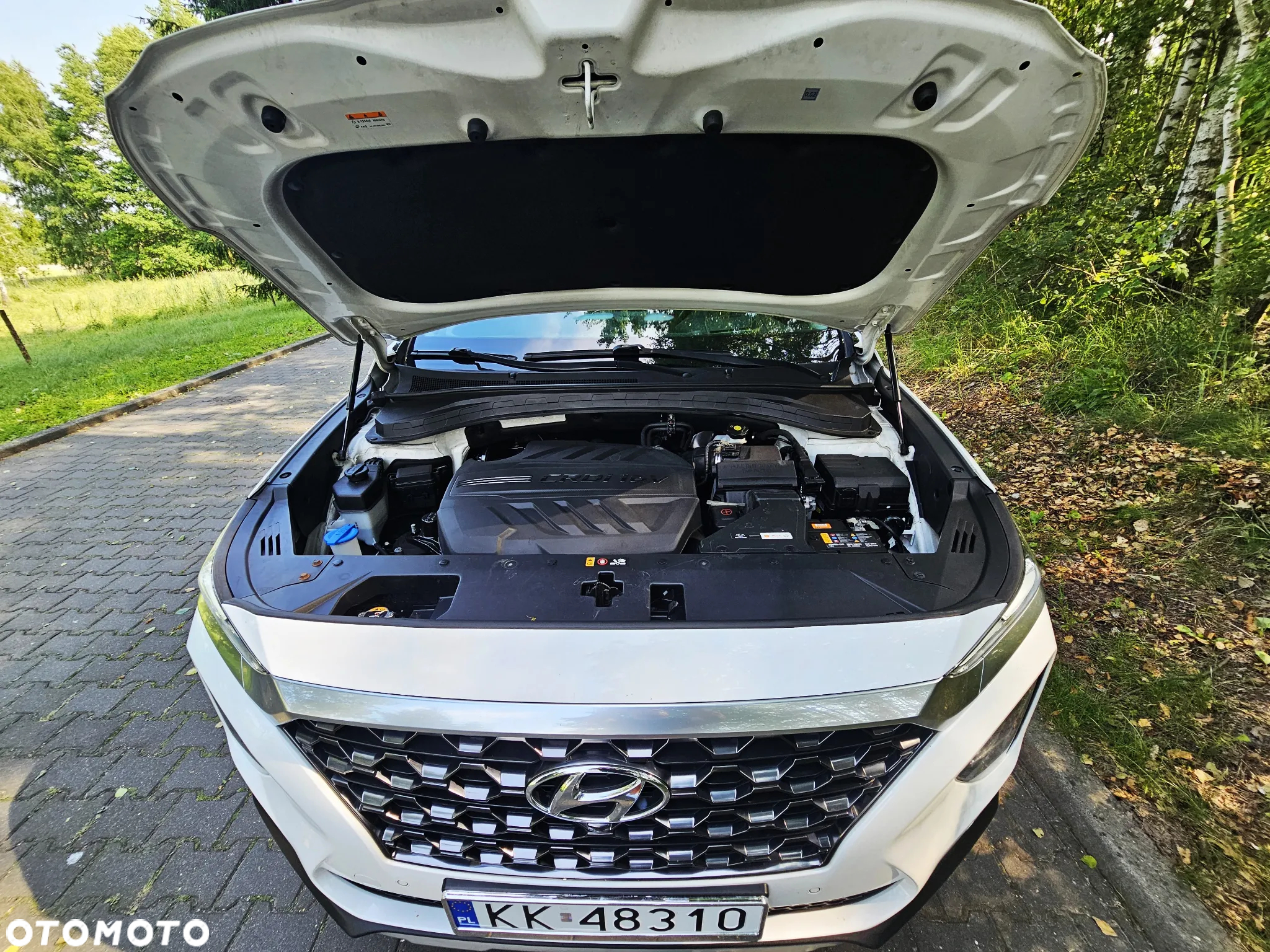 Hyundai Santa Fe 2.0 CRDi Platinum 4WD 7os - 25