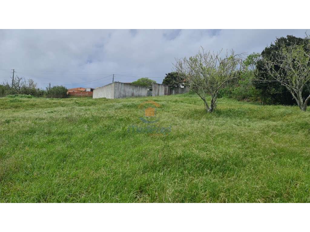 Terreno urbano 7.500 m2 | Maceira, Torres Vedras - Grande imagem: 3/3