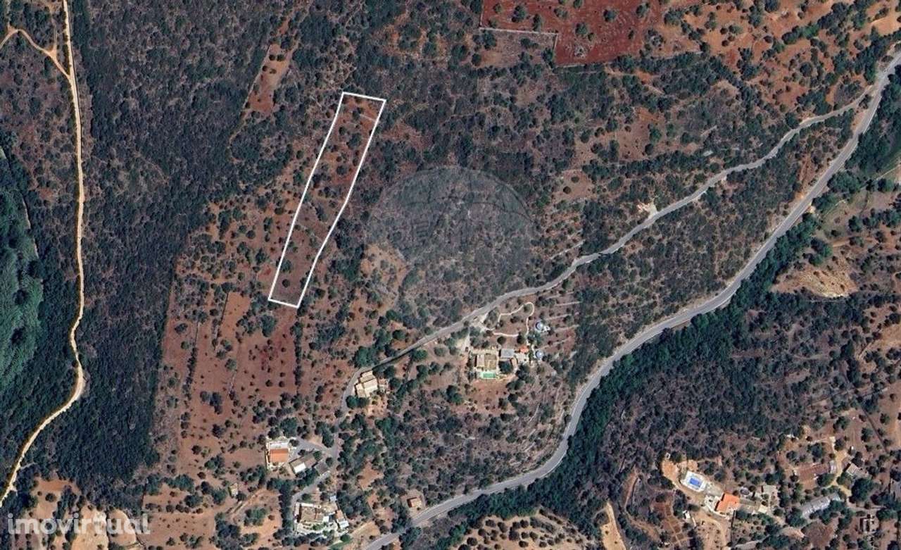 Terreno  para venda - Grande imagem: 3/3