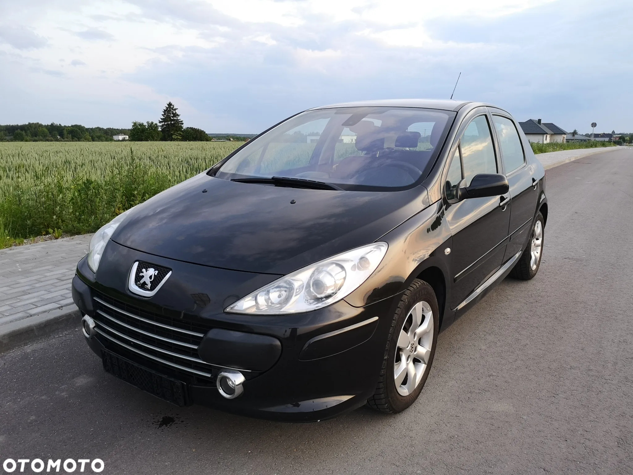 Peugeot 307 110 OXYGO - 30