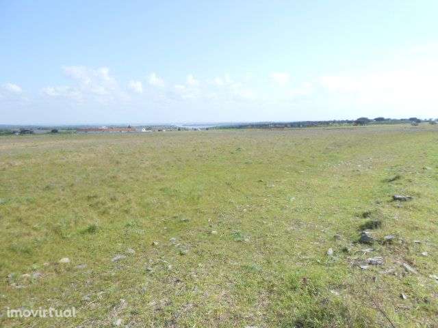 Terreno - vista espelho de agua Alqueva - Grande imagem: 5/8