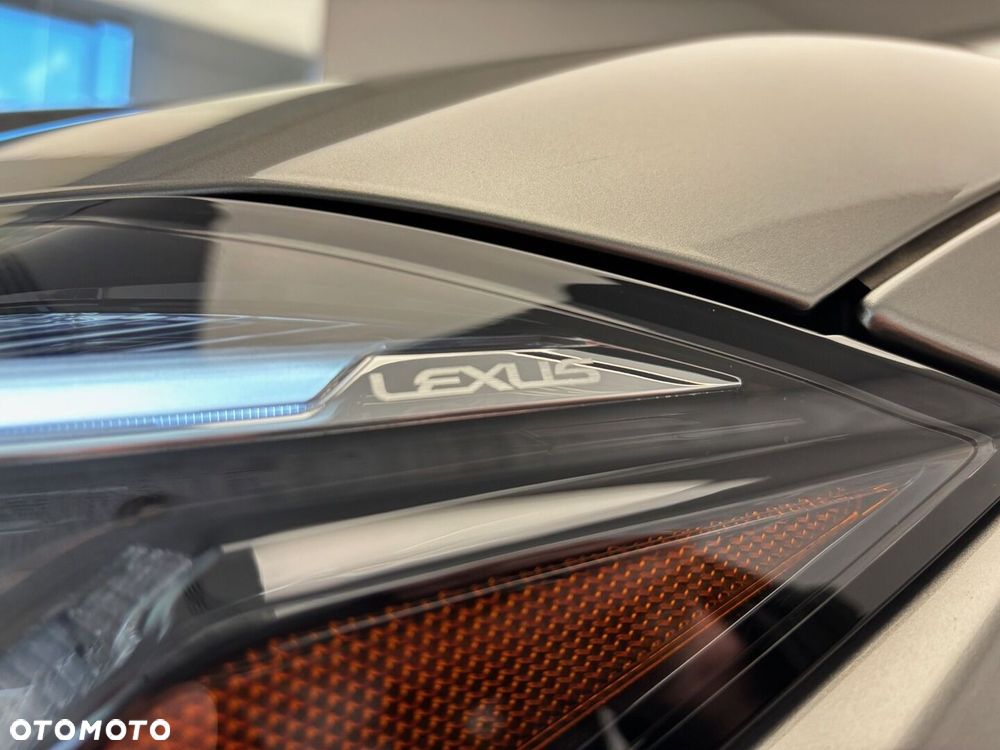 Lexus UX 250h GPF F Sport Design 2WD - 14