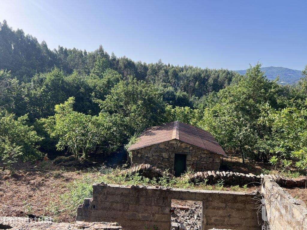 Quinta rural em Serrazes de 223 m2 - Grande imagem: 2/15