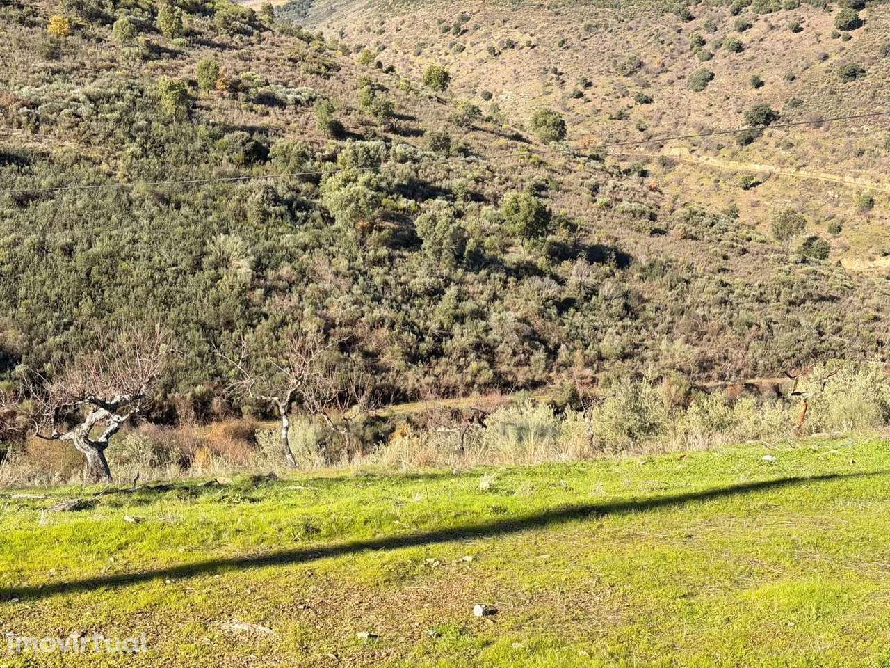 Quinta  Venda em Ligares,Freixo de Espada à Cinta - Grande imagem: 4/32