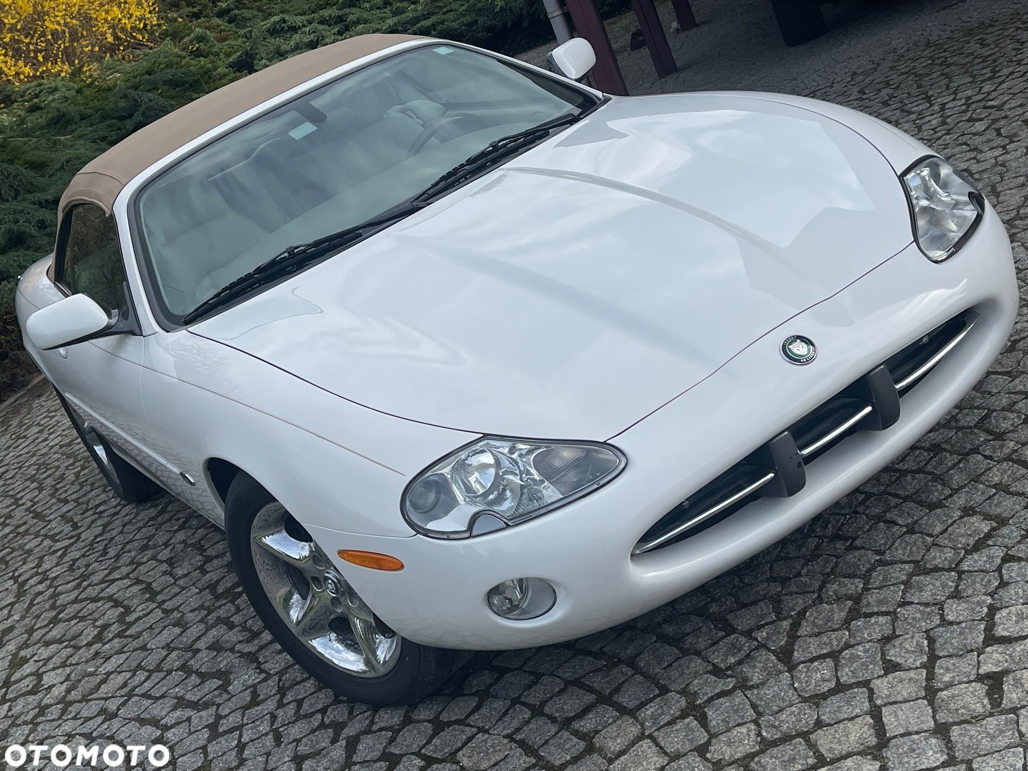 Jaguar XK8 4.0 - 1