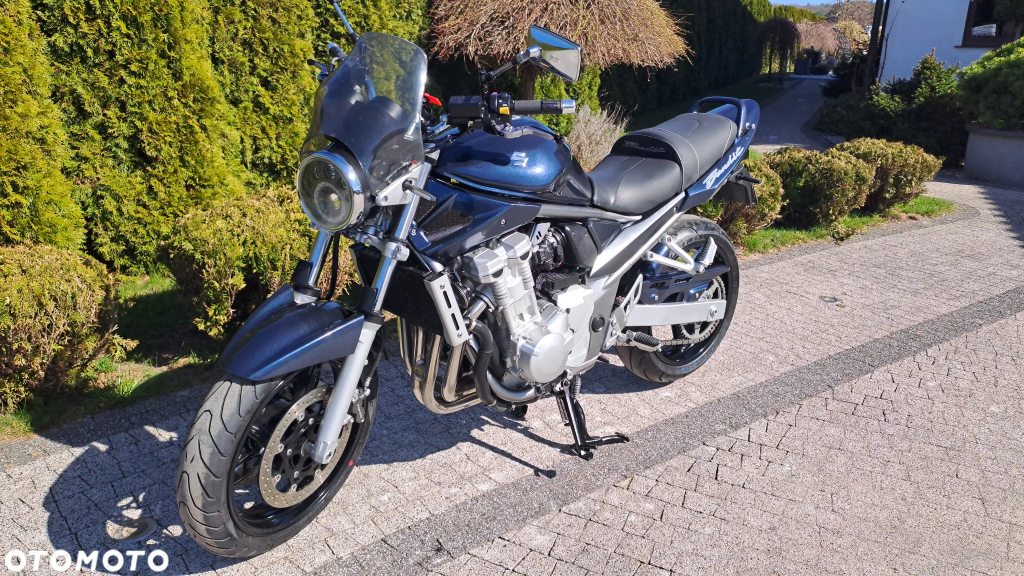 Suzuki Bandit - 19