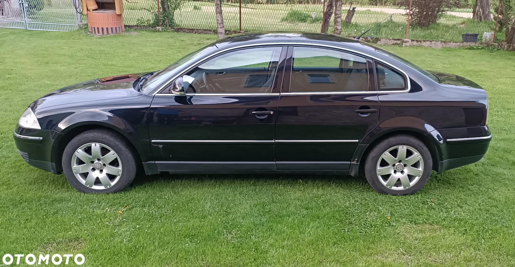 Volkswagen Passat - 8