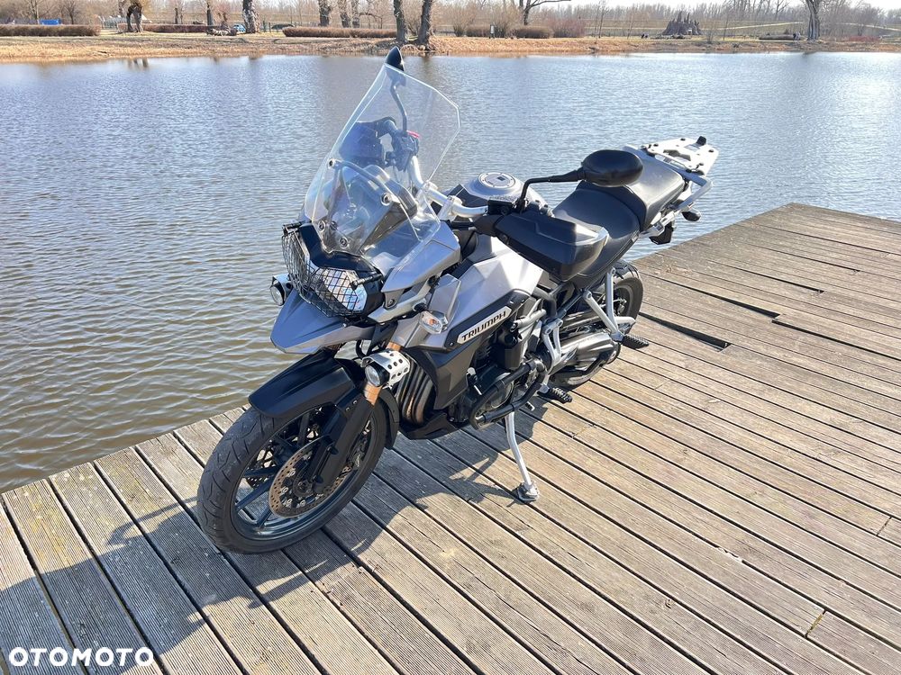 Triumph Tiger - 14