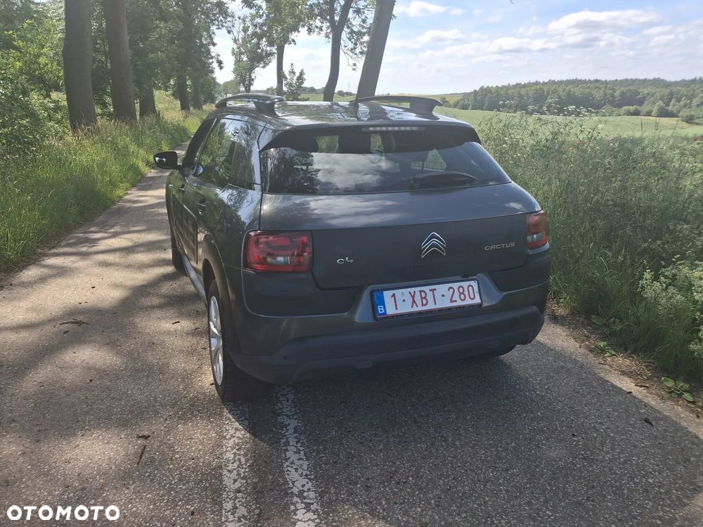 Citroën C4 Cactus PureTech 82 Business Class - 11