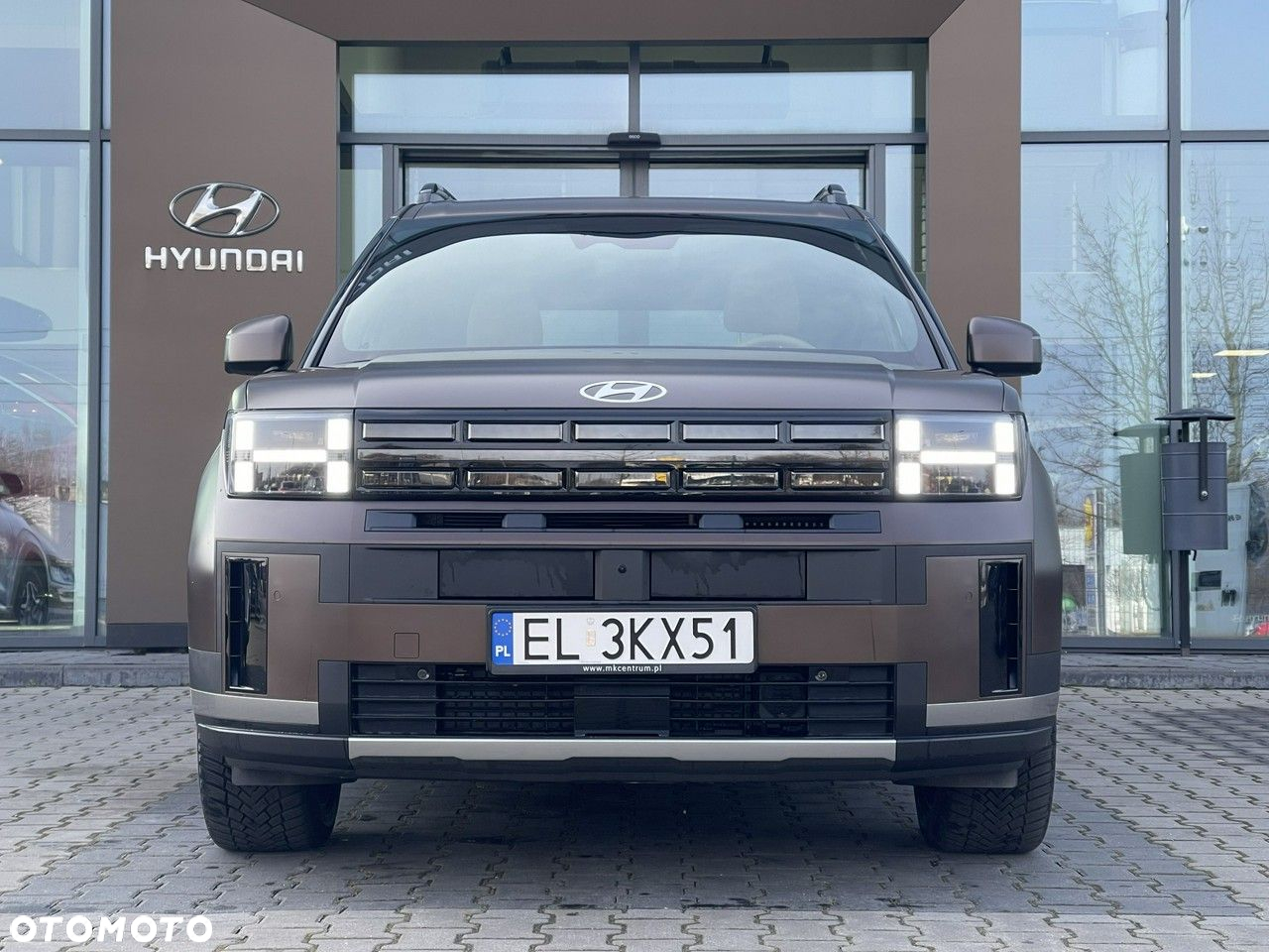Hyundai Santa Fe - 7