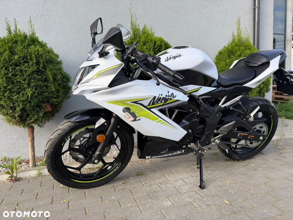 Kawasaki Ninja - 38