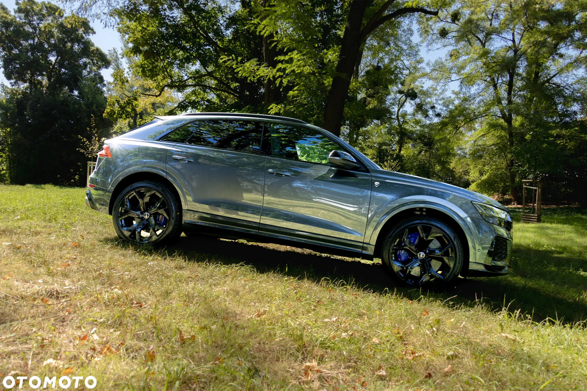 Audi RS Q8 - 40