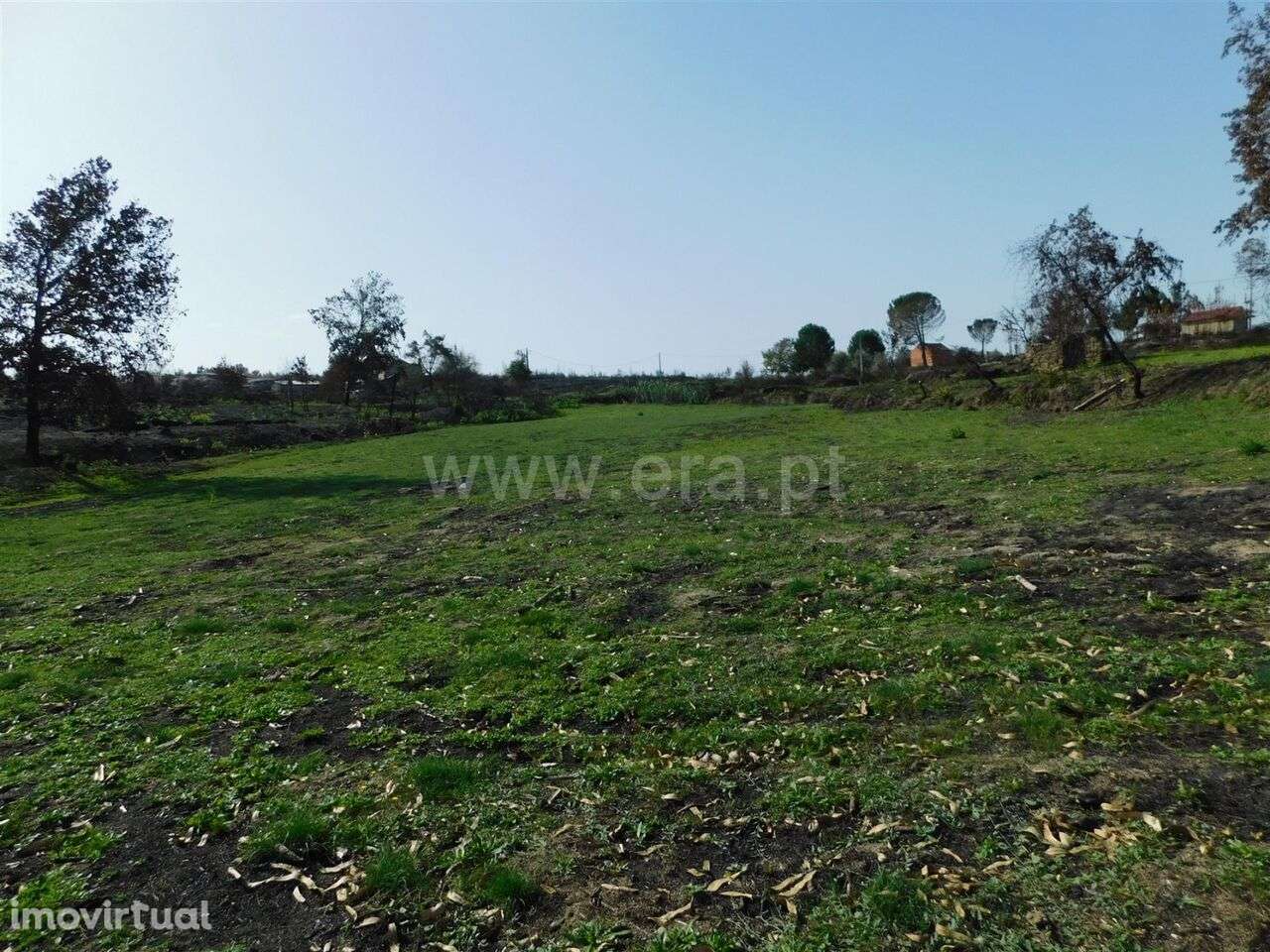 Quinta / Seia, Travancinha - Grande imagem: 2/2