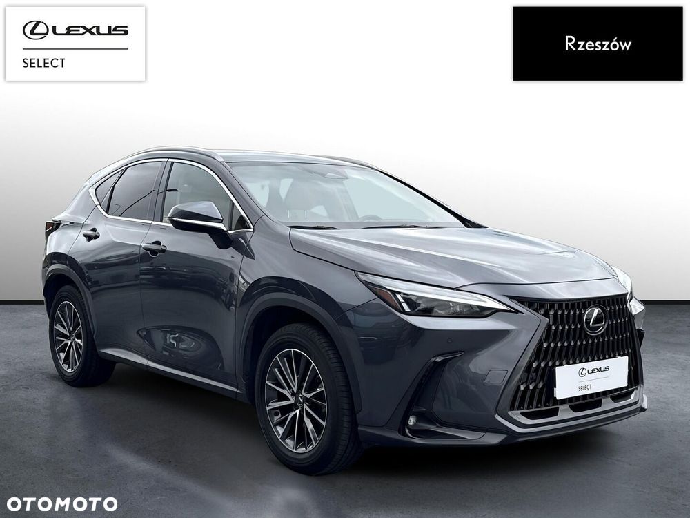 Lexus NX 350h Prestige AWD - 7