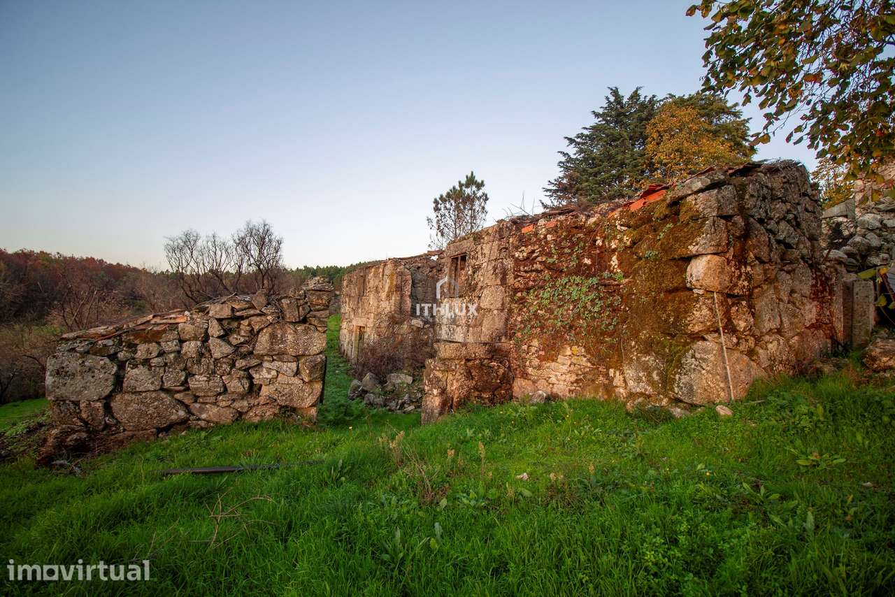 Quinta com 1ha, Cunha Alta, Mangualde - Grande imagem: 4/13