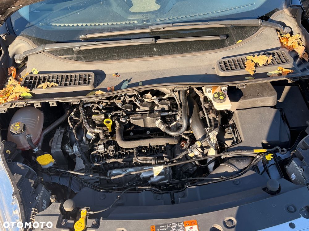 Ford Kuga 1.5 EcoBoost 2x4 SYNC - 17