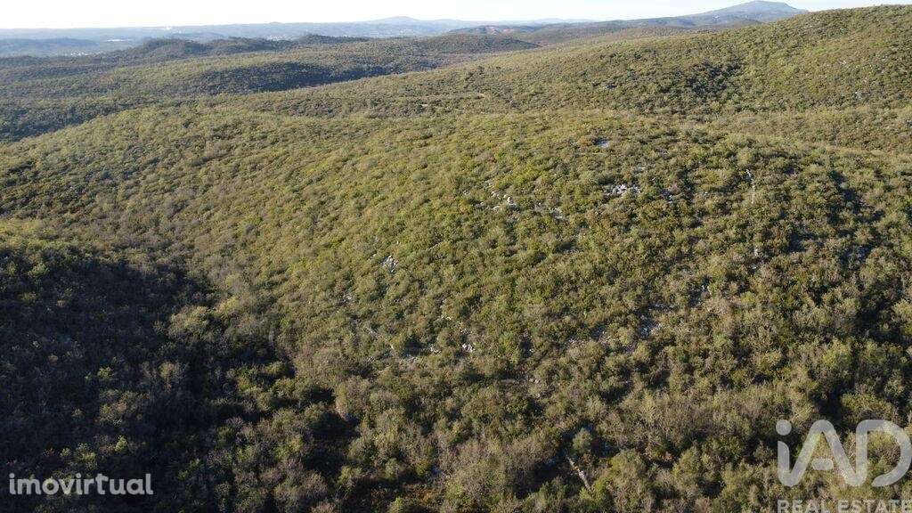 Terreno em Chãos - Grande imagem: 4/18