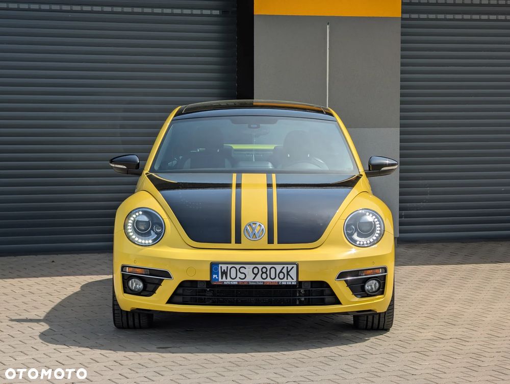 Volkswagen Beetle - 5